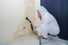 Mold Remediation for Vacation Homes in Millville, DE